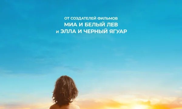 Мальчик и лис