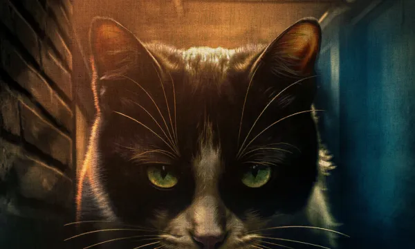 Дорогая, я уменьшаюсь