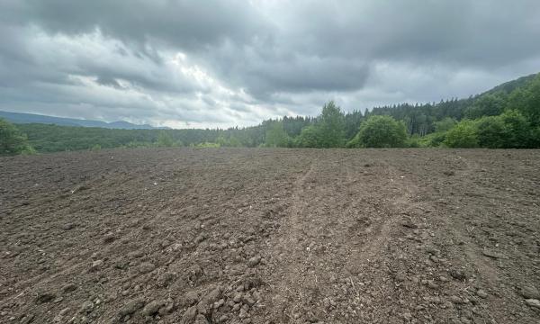 Синегорская свалка - первый рекультивированный объект в Сахалинской области Синегорская свалка - первый рекультивированный объект в Сахалинской области