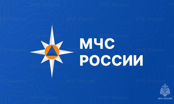 Пушистые спасатели  оттачивают навыки