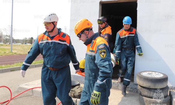 Подтвердили профессионализм