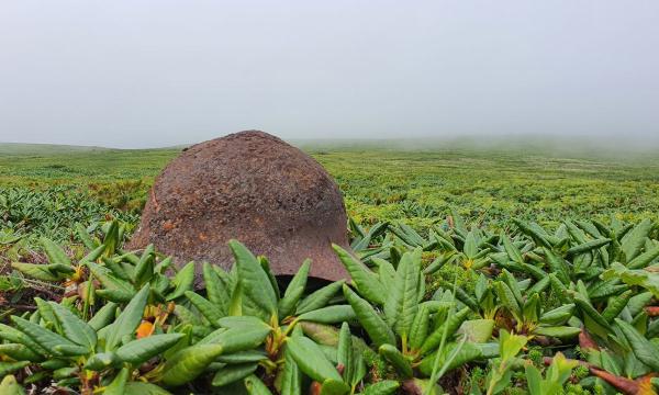 Поисковики обнаружили останки бойца на острове Шумшу