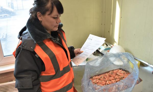 В Приморье и на Сахалин поступило более 2700 тонн рыбы и морепродуктов из-за рубежа В Приморье и на Сахалин поступило более 2700 тонн рыбы и морепродуктов из-за рубежа