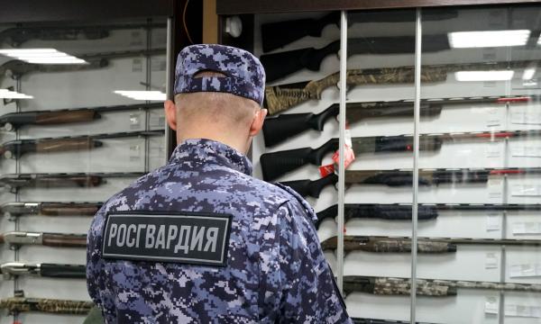 За неделю на Сахалине изъяли 9 единиц оружия