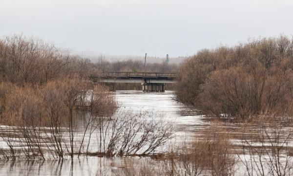 В Тымовском районе ожидается подъем уровня воды в реке Тымь