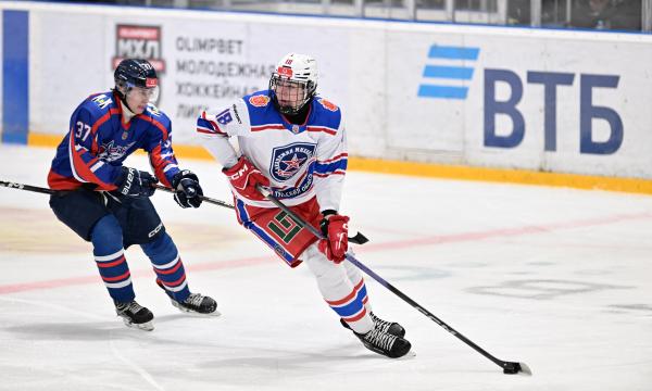 &laquo;Сахалинские Акулы&raquo; проиграли тульской &laquo;Академии Михайлова&raquo;