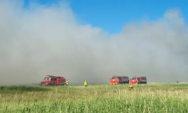 Спасатели оперативно потушили природный пожар под Анивой