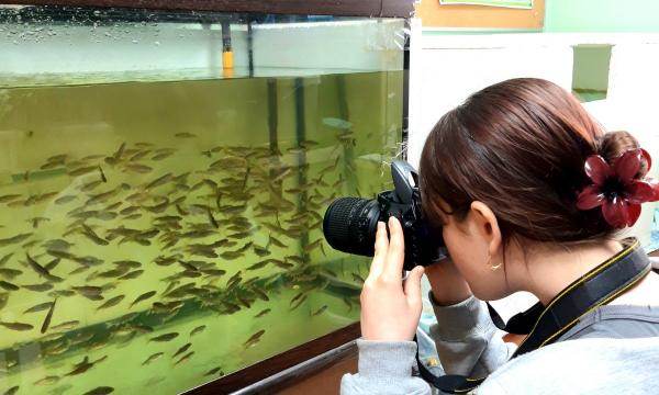 Компания «РВК-Сахалин» поддерживает проект юных натуралистов по разведению рыбы