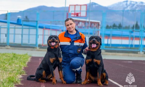 Чрезвычайное чутье спасает жизни