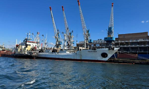 За неделю Сахалин и Приморье отправили почти 18 тыс. тонн рыбы за рубеж За неделю Сахалин и Приморье отправили почти 18 тыс. тонн рыбы за рубеж