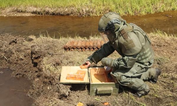 На острове Шумшу военные разминировали более 3800 боеприпасов времен Второй мировой войны