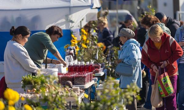 Южносахалинцев приглашают на сельскохозяйственную осеннюю ярмарку «Дары осени»