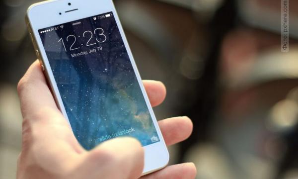 Камчатку на несколько дней отключат от интернета