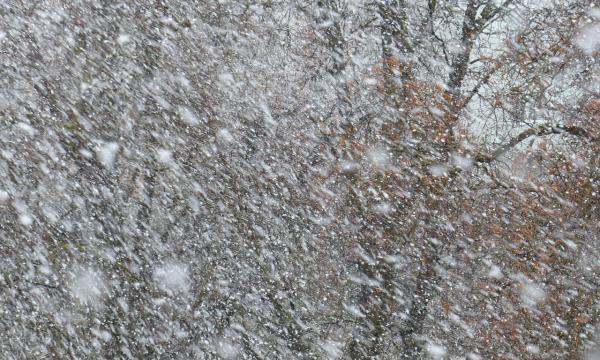 На Сахалине с 11 часов закрыто движение по дороге Оха &ndash; Москальво