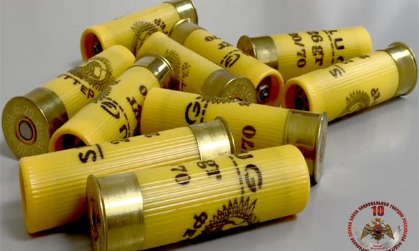 Росгвардия Сахалинской области изъяла 28 единиц оружия за неделю