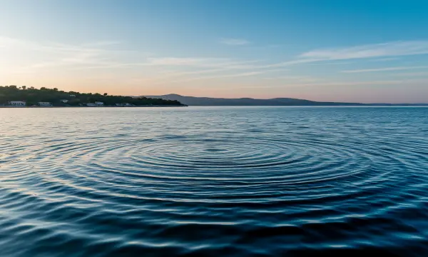 В Аниве отец пытался спасти тонущего сына и погиб вместе с ним