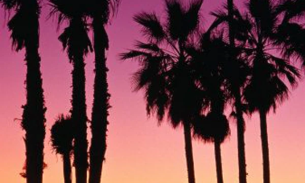 Продам ботинки