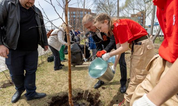 Молодежь Южно-Сахалинска приняла участие в акции по высадке деревьев
