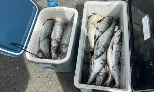 В Корсаковском районе задержаны за браконьерство: сотни лососёв изъяты в рамках «Путина 2026» В Корсаковском районе задержаны за браконьерство: сотни лососёв изъяты в рамках «Путина 2026»