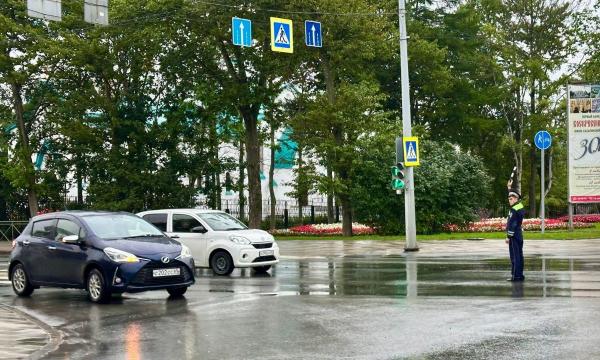 Сахалинские автоинспекторы за сутки задержали 12 пьяных водителей