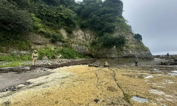 В Южно-Курильске спасатели обнаружили четыре неразорвавшихся снаряда