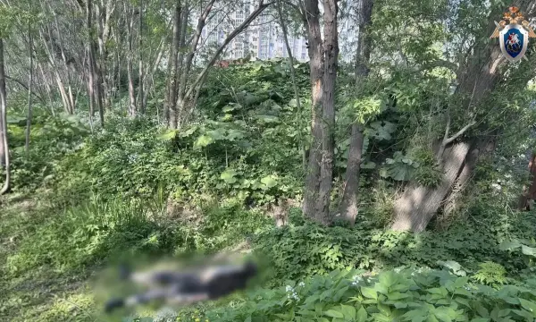 Тело 37-летнего сахалинца нашли в Южно-Сахалинске у остановки Кинопрокат