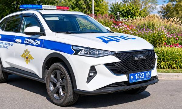 Почти 1200 нарушений зафиксировали камеры на дорогах Сахалина