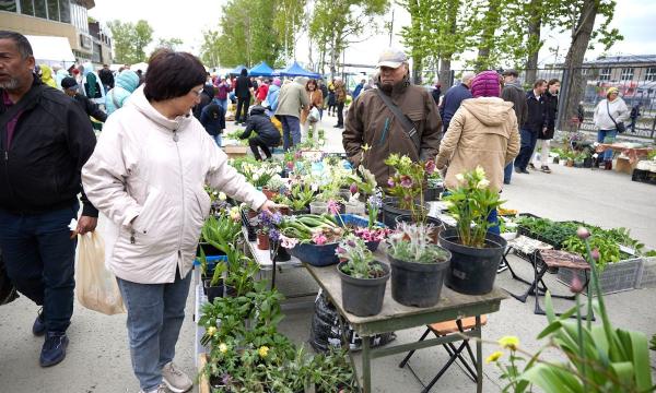 Жителей Южно-Сахалинска приглашают на ярмарку "Весна - 2025"