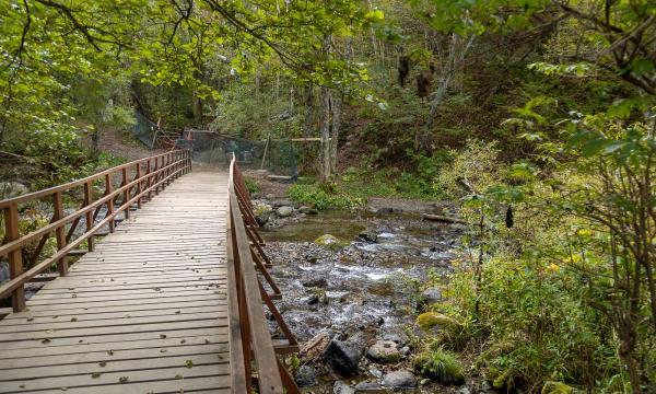Лестницу к останцу "Лягушка" закроют на техническое обслуживание