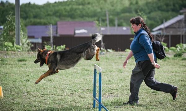 Кинолог МЧС России с питомцами завоевали 2 серебряные медали
