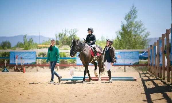 Сахалин впервые принимает всероссийские соревнования по паралимпийской выездке