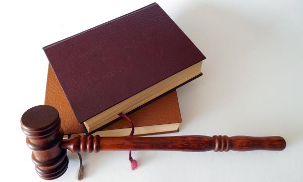 Суд взыскал с администрации Невельска компенсацию за нападение собаки на ребенка