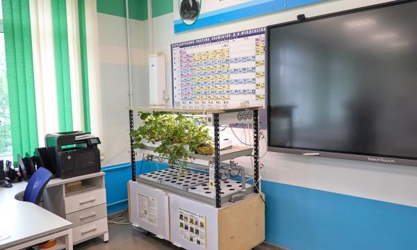 Маленькие исследователи, большие открытия: экологические проекты в лицее №1