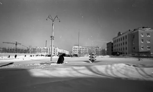 Южно-Сахалинск после метели