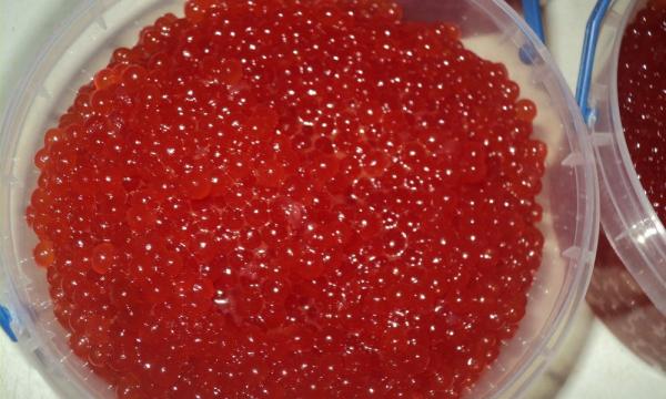 Полиция изъяла у задержанного на берегу реки Белая браконьера 4 кеты и 14 кг красной икры