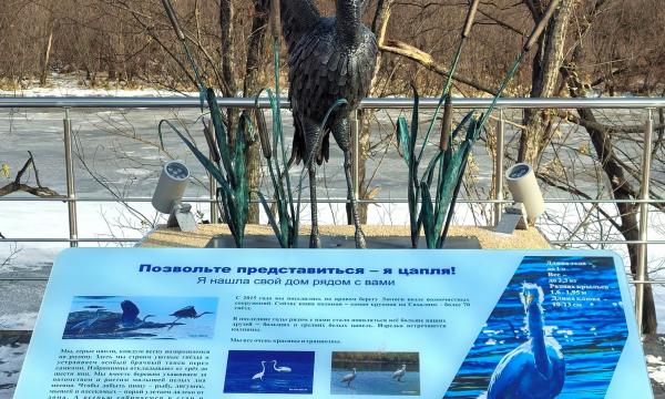 Улица Калинина в Аниве превратилась в арт-пространство