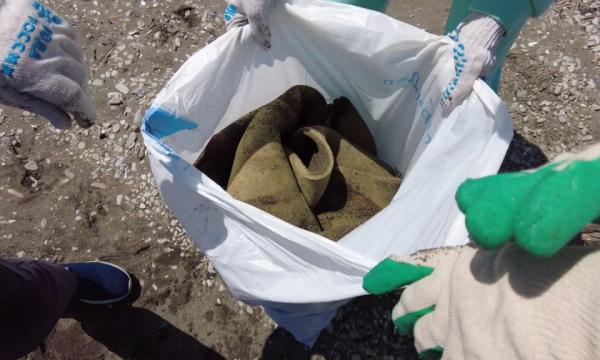 С берегов бухты Лососей собрали больше сотни килограммов