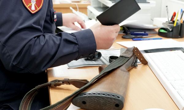 Росгвардия за неделю изъяла 23 единицы оружия на Сахалине