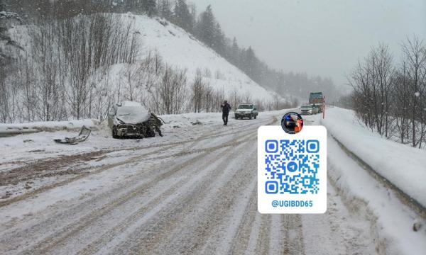 Два человека пострадали в лобовом столкновении на трассе в Невельском районе