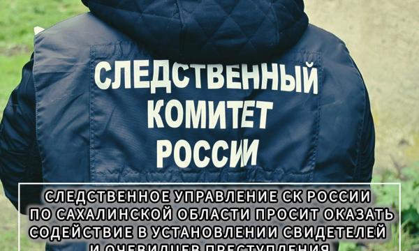 В Сахалинской области разыскивают свидетелей нападения на девушку