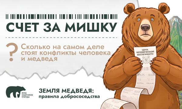 Сколько стоит встреча с медведем?