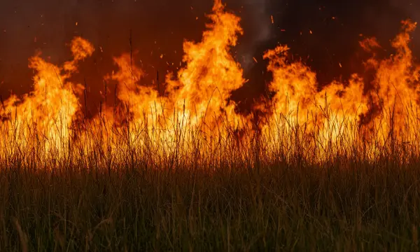 В Долинском районе прогнозируется высокая пожарная опасность