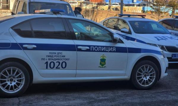 Сотрудник ДПС в Приморье избил водителя после погони