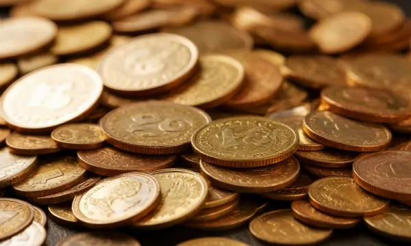 Большинство южносахалинцев поддерживают выплаты домохозяйкам