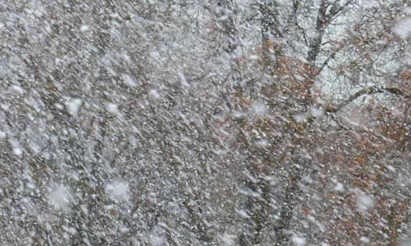 На Сахалин надвигается монгольский циклон