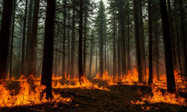 В Смирныховском округе сохраняется высокая пожарная опасность