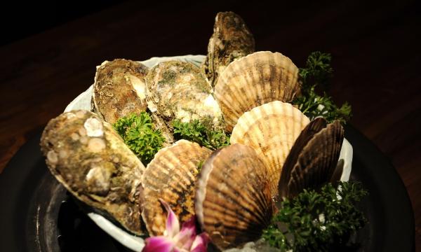 Приморские специалисты провели более двух тысяч исследований морских гребешков