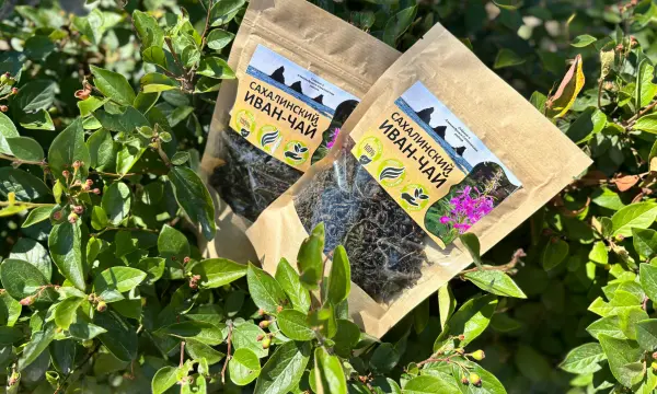 Сахалинский предприниматель расширяет производство натурального чая