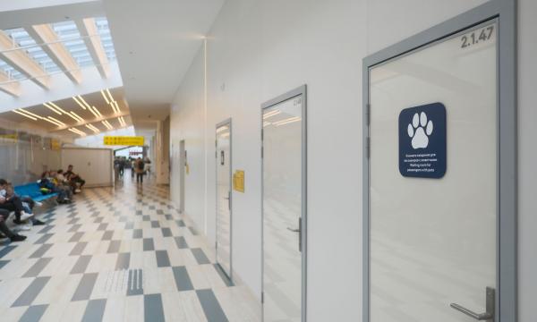 В аэропорту Южно-Сахалинска открыли зону для комфортного пребывания животных