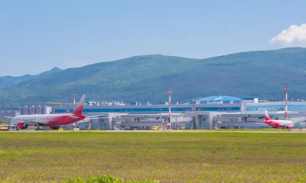 «Аэрофлот» доставил двух эму из Нижнего Новгорода в Сахалинский зооботанический парк